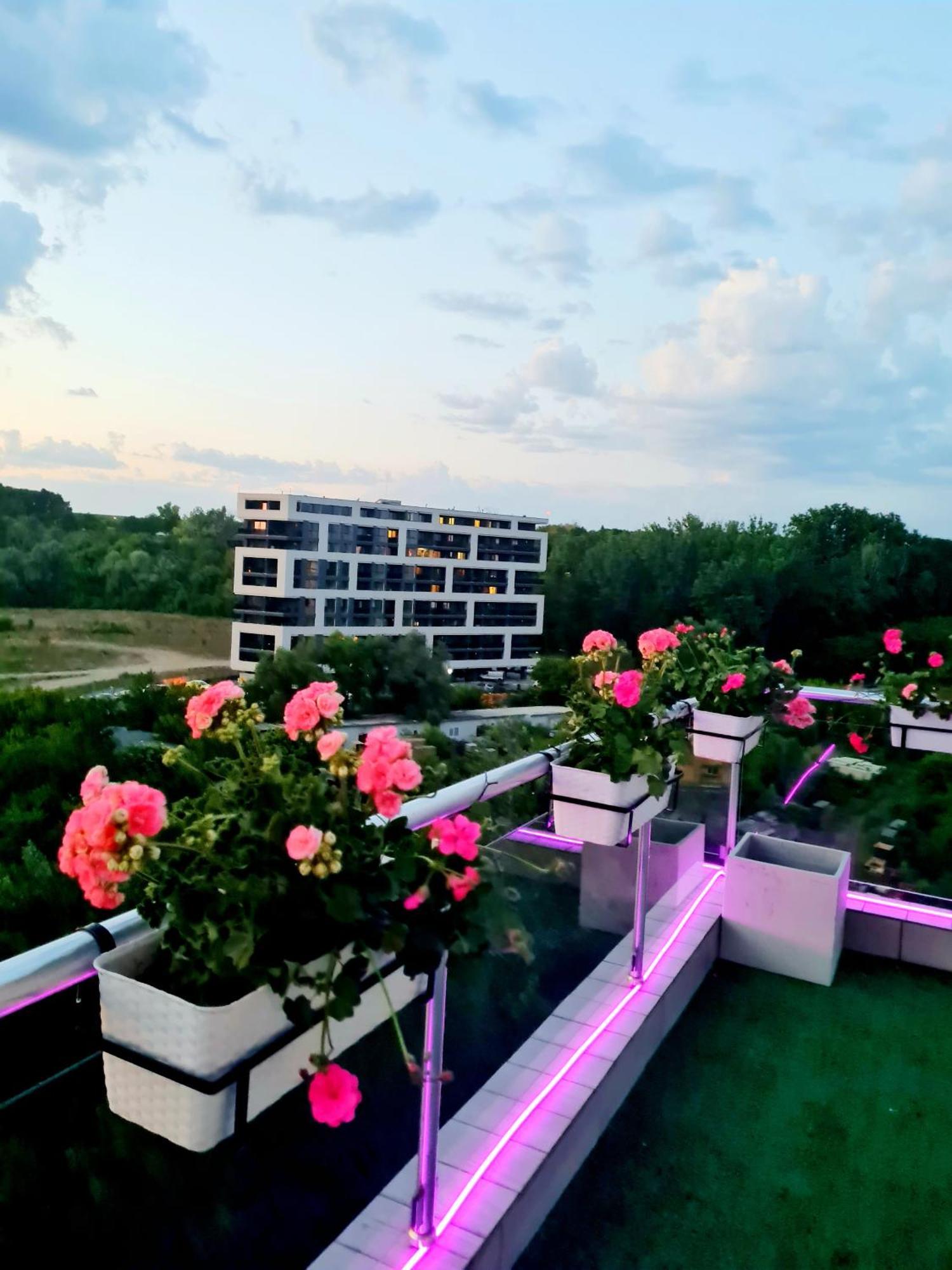 Penthouse View Aeroport Iasi 2 Apartment Exterior photo
